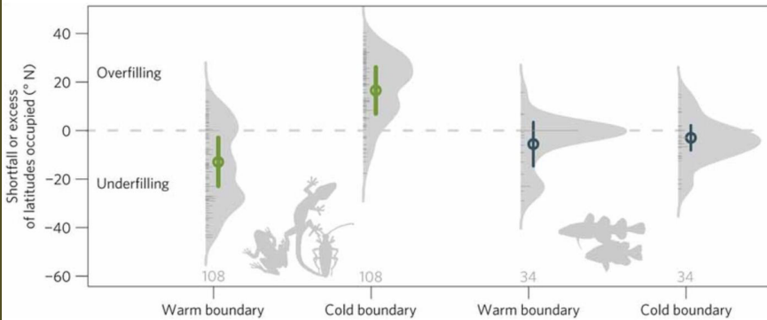 <p><strong><em>"As temperatures change, an organism's realized niche may shift BEYOND its thermal limits, forcing it to seek new suitable habitats (realized niches) or face population decline."</em></strong></p><p></p><p><strong><u>Niche</u></strong></p><ul><li><p>The combination of abiotic and biotic factors along with a species’ interactions with its environment that determine where it can live</p></li></ul><p></p><p><span style="color: yellow"><strong>Fundamental Niche</strong></span></p><ul><li><p>The nice a species would occupy <span style="color: yellow">in the </span><span style="color: red"><strong><u>ABSENCE </u></strong></span><span style="color: yellow">of <strong><u>interspecific interactions</u></strong> </span>(e.g. competition or predation)</p></li></ul><p></p><p><span style="color: blue"><strong>Realized Niche</strong></span></p><ul><li><p>The <span style="color: blue"><strong><u>ACTUAL </u></strong></span>niche that a species occupies in the real world<span style="color: yellow"><strong> </strong></span><span style="color: blue"><strong>IN LIGHT OF</strong></span> of interspecific interactions in the real world among organisms of other species in their ecological community</p></li></ul><p></p><p><strong><u>Niche Filling</u></strong></p><ul><li><p>The <span style="color: yellow"><strong><u>DEGREE </u></strong></span>to which a species occupies its <span style="color: yellow"><u>fundamental niche</u></span> in the wild</p></li></ul><p>****************************************************************************</p><p><strong><u>Species Range Filling of </u></strong><span style="color: red"><strong><u>Thermal Limits</u></strong></span><strong> (</strong><span style="color: rgb(20, 255, 232)"><strong>GRAPH 1</strong></span><strong>)</strong></p><ul><li><p>The shaded area between a North Atlantic fish species’ upper (28 C) and lower (12 C) thermal limits as indicated by the <strong><u>thermal response curve.</u></strong></p></li><li><p>ARROWS indicate that the <span style="color: yellow"><strong>upper and lower thermal limits of the species correspond closely to the mean annual water temperatures found at its geographic range limits.</strong></span></p></li><li><p>This species is fully filling its thermal niche with very little underfill or overfill.</p><ul><li><p><span style="color: yellow">Winter minimum and summer maximum (rather than mean)</span> temperatures probably set its actual GEOGRAPHIC range.</p></li></ul></li></ul><p>****************************************************************************</p><p><span style="color: red"><strong><u>Thermal Limit</u></strong></span></p><ul><li><p>The highest/lowest temperature a species can tolerate before it can no longer SURVIVE or function properly</p></li></ul><p></p><p><span style="color: green"><strong><u>Geographic Limit</u></strong></span></p><ul><li><p>The<span style="color: green"> <strong>FURTHEST </strong>area where a species is found, based on environmental conditions</span>, resource availability, and other ecological factors</p></li><li><p>Defines the <span style="color: green"><strong>EDGE</strong> of a species’ natural range</span></p></li></ul><p></p><p><span style="color: red"><strong><u>Warm </u></strong></span><strong><u>and </u></strong><span style="color: blue"><strong><u>Cold </u></strong></span><strong><u>Boundaries</u></strong></p><ul><li><p>Temperature EXTREMES at the edges of a species’ geographic range</p></li><li><p><span style="color: red">Warm boundary</span>: HOTTEST area where a species is found, near its upper thermal limit</p></li><li><p><span style="color: blue">Cold boundary</span>: Coldest area where a species is found, near its lower thermal limit</p></li></ul><p></p><p><strong><u>Niche-Filling in Marine and Terrestrial Ectotherms</u> (</strong><span style="color: rgb(16, 220, 189)"><strong>GRAPH 2</strong></span><strong>)</strong></p><ul><li><p><span style="color: rgb(181, 169, 167)"><strong>GRAY shading</strong></span> represents abundance of species near their thermal limit.</p></li><li><p>Marine species closely fill their niche (right, CLOSE TO ZERO), <span style="color: rgb(174, 166, 166)">with most species falling either at or near their </span><span style="color: red">thermal limit.</span></p><p></p></li><li><p><span style="color: blue"><strong>Underfilling </strong></span><strong>(vertical axis)</strong> occurs when species have a geographic limit at a temperature well <span style="color: blue"><strong>BELOW </strong></span>their measured thermal limit.</p><ul><li><p>ACTUALLY FOUND (Geographic limit) BEFORE WHERE THEY CAN POTENTIALLY SURVIVE (thermal limit): UNDERFILLING</p><ul><li><p>My underwear is WARM</p><ul><li><p>UNDERFILLING occurs <span style="color: red">mostly at WARM boundaries of terrestrial species as it </span><span style="color: blue"><strong>indicates that the species is ABSENT from hotter areas even though they COULD tolerate them</strong></span></p><ul><li><p>Usually due to <strong>competition, resource limitations, or ecological constraints</strong>.</p></li></ul></li><li><p><span style="color: blue"><em>As such, the species’ geographic limit is in a COOLER area than its thermal limit</em></span></p></li><li><p>EXAMPLE: The American Pika living in the mountains despite being able to survive in warmth</p><ul><li><p>Pikas have a high thermal tolerance, meaning they CAN SURVIVE in warmer temperatures than where they are actually found.</p></li><li><p>Despite this, they are mostly RESTRICTED to cooler, high-altitude mountainous regions, likely due to factors such as competition, habitat preference, or physiological stress from sustained heat exposure.</p></li><li><p>Even though pikas COULD , in theory, survive in warmer, lower-altitude regions, they are absent from these areas, making them an example of underfilling at their southern (warm) range boundary.</p><p></p></li></ul></li></ul></li></ul></li></ul></li><li><p><span style="color: red"><strong>Overfilling </strong></span><strong>(vertical axis)</strong>, when a <span style="color: red">species geographic range <strong>EXCEEDS </strong>its measured thermal tolerance</span>, is seen <span style="color: blue">mostly in </span><span style="color: green"><strong>TERRESTRIAL </strong></span><span style="color: blue"><strong>species at their cold boundary</strong></span><strong>.</strong></p><ul><li><p><em>A species’ geographic limit is found in places COLDER than their measured thermal tolerance, likely due to WARM SPOTS (otherwise known as microclimates which are warmer than average temperature)</em></p></li><li><p><strong>Overfilling</strong> is the <strong>reverse</strong> of underfilling and occurs at the <strong>COLD boundary</strong>, where species are found <strong>BEYOND their expected <u>THERMAL LIMIT </u></strong>due to factors like <strong>microclimates (warm spots)</strong> that provide local refuge.</p></li><li><p>A species’ <strong>geographic range extends into colder areas</strong> where the <strong>average temperature is below its measured THERMAL tolerance</strong>.</p><p></p></li><li><p><em>EXAMPLE: The Red</em><strong> fox (<em>Vulpes vulpes</em>)</strong> living BEYOND at its <strong>northern range geogrpahic boundary</strong> in Arctic regions (<strong>MUCH COLDER)</strong></p></li><li><p>The red fox is found in areas <strong>colder than</strong> its measured thermal limits.</p></li><li><p><strong>How?</strong> This is likely due to <span style="color: red"><strong>microclimates (warm spots)</strong> </span>such as sheltered environments, burrows, or areas with <strong>higher solar radiation</strong> that provide localized warmth, allowing the species to persist beyond its expected thermal limits.</p></li></ul></li></ul><p></p>