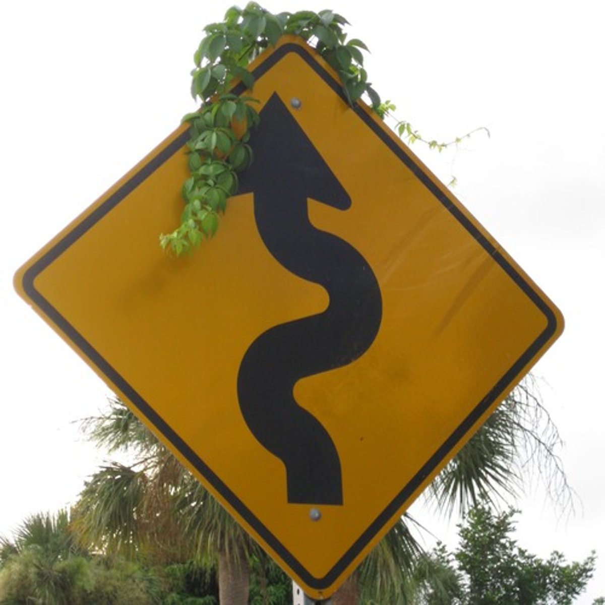 <p>Yellow, diamond, and a squiggly line pointing ahead.</p>