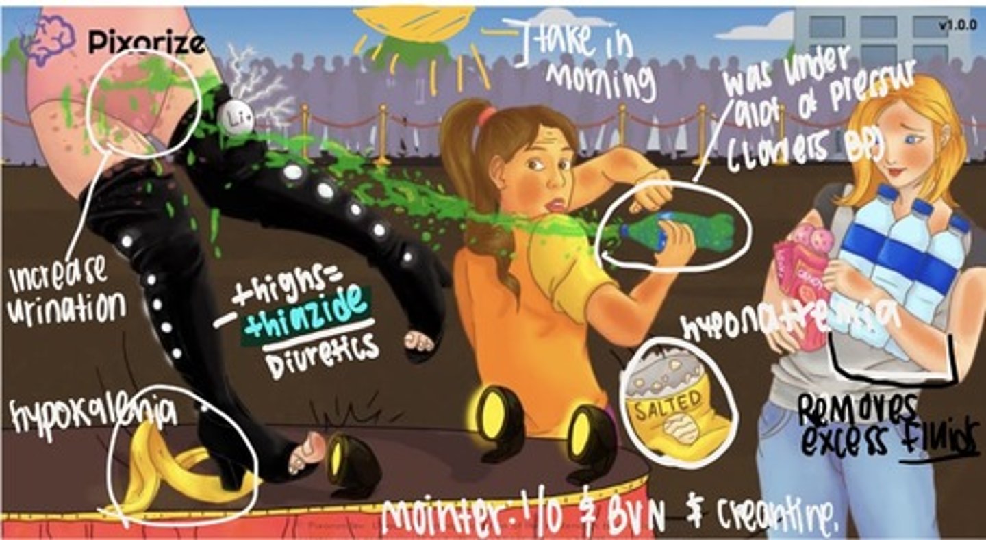 <p>MOA: blocks reabsorb of sodium and chloride in the early distal convoluted tubule (basically keeps Na and Cl in tubes to be excreted so it stops it from being reabsorbed back in body)</p><p>Indications: HTN &amp; edema (most prescribed/ first line)</p><p>Adverse: electrolyte imbalance (hyponatremia, hypochloremia), dehydration, hypokalemia, hypotension, hyperglycemia, chance of gout, photosensitivity, don't give past 2pm</p><p>Nursing Consideration: monitor pt input and output, (REPORT IF LESS THAN 30 ml/ hr) BUN and creatinine</p>