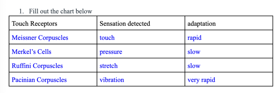 <p>Table:</p>