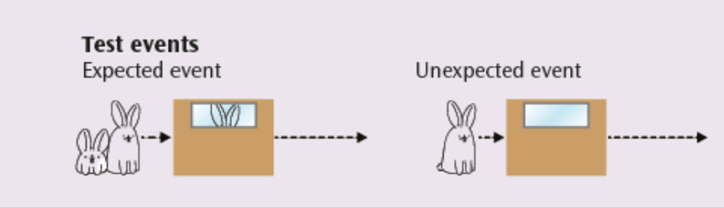 <p><mark data-color="#a14444" style="background-color: rgb(161, 68, 68); color: inherit;"><span>Violation of expectation research</span></mark></p><p><span>After, the familiarisation even, there are two conditions :</span></p><ol><li><p>the expected event</p></li><li><p>the <em>un</em>expected event</p></li></ol><p></p>