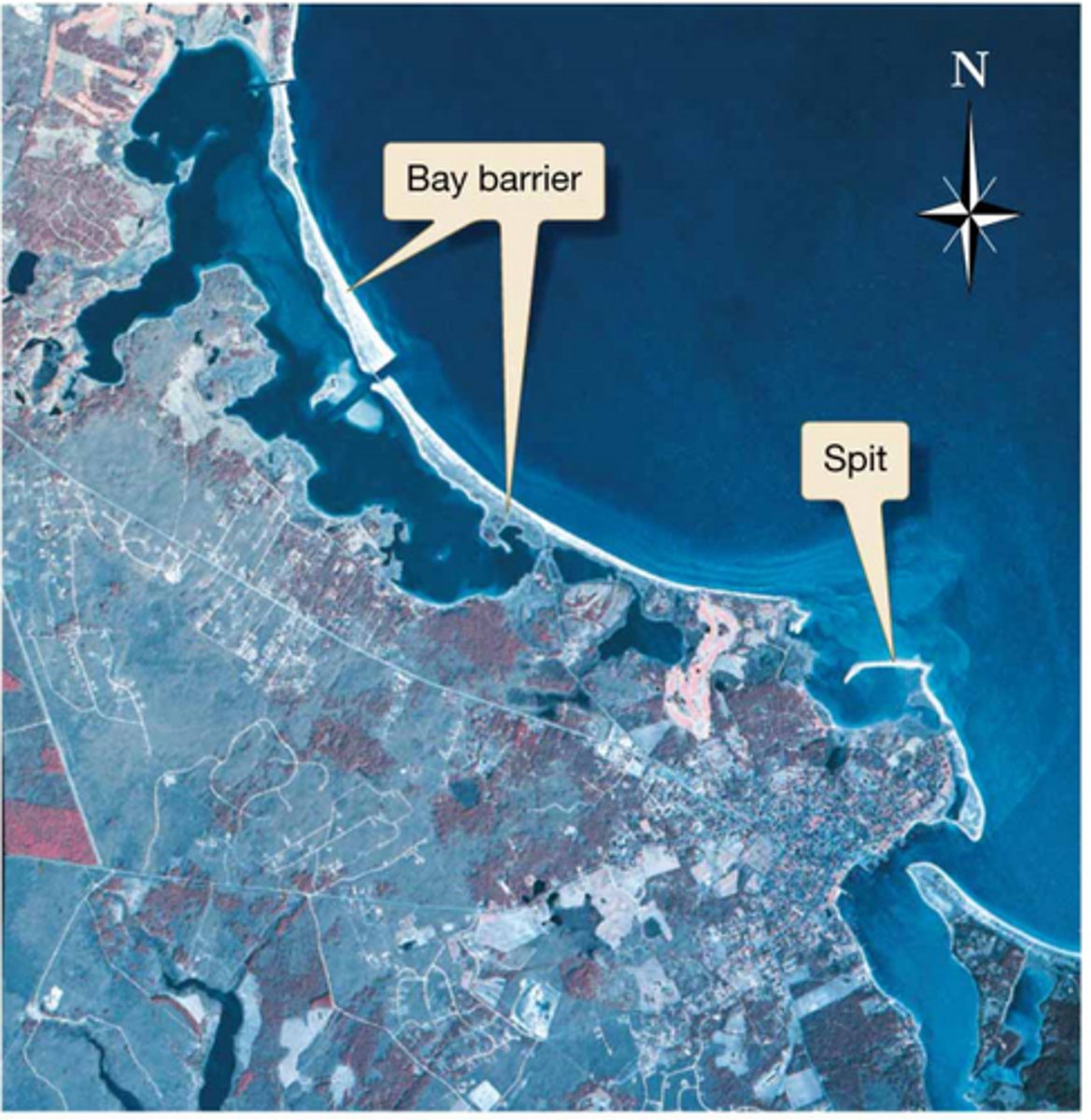 <p>where the coastline indents landward, beach drift stretches beaches out into open water to create</p>