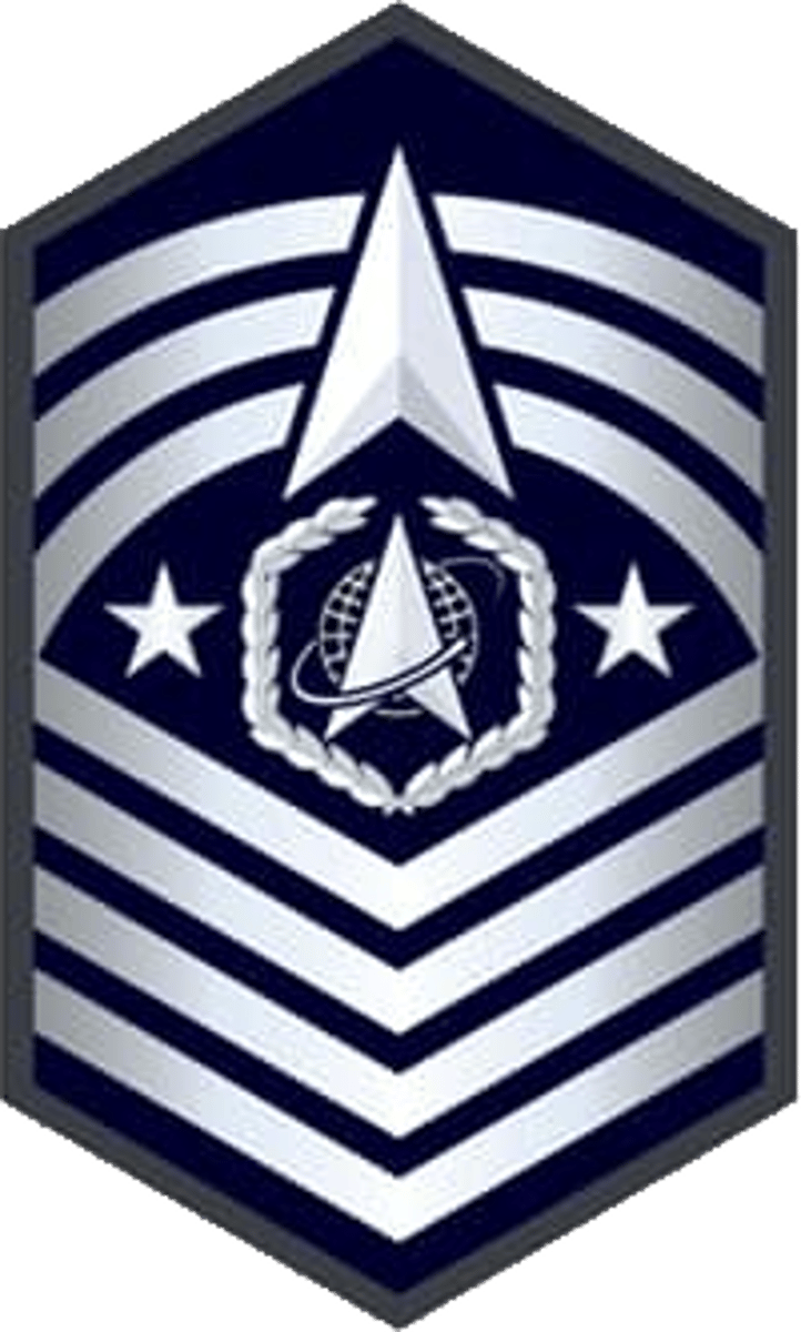 <p>Chief Master Sergeant of the Space Force</p>
