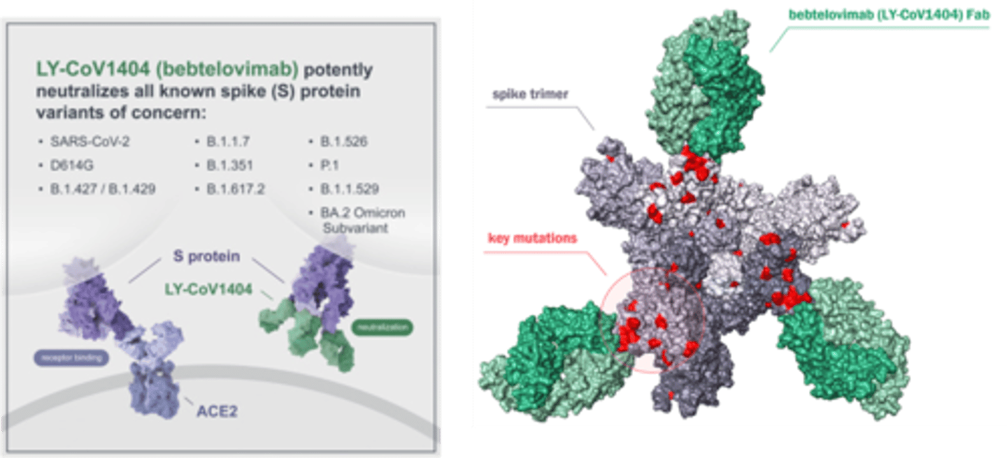 <p>Mild to moderate COVID-19 in non-hospitalized adults and pediatric patients aged ≥12 years and weighing ≥40 kg who are at high risk of disease progression.</p><p>Monoclonal Antibody (NOT IN USE ANYMORE)</p>