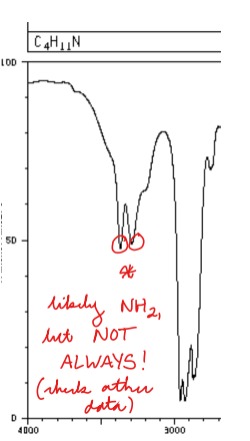 <p>Key: Two close bumps (NOT ALWAYS NH2)</p>