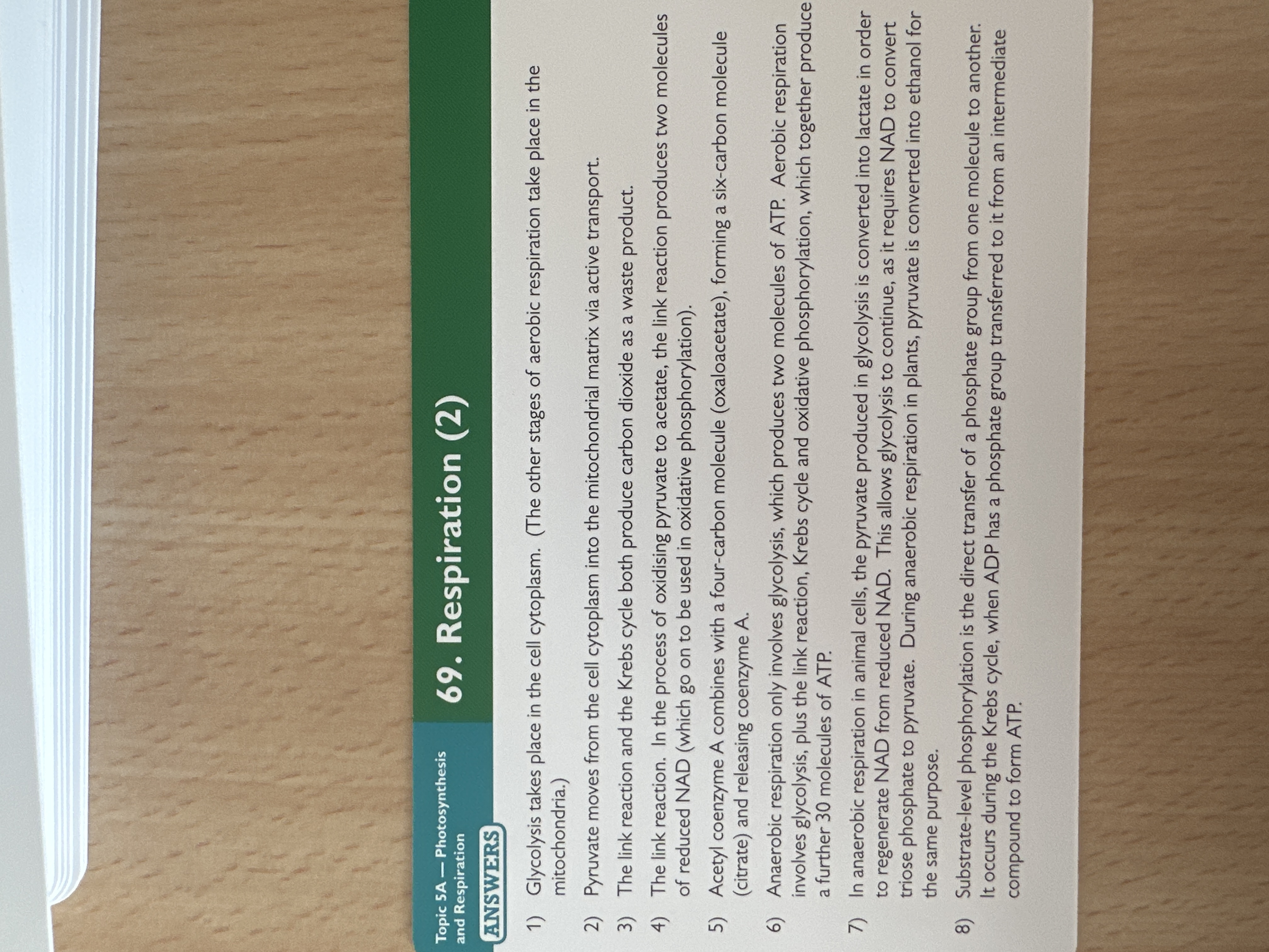 knowt flashcard image