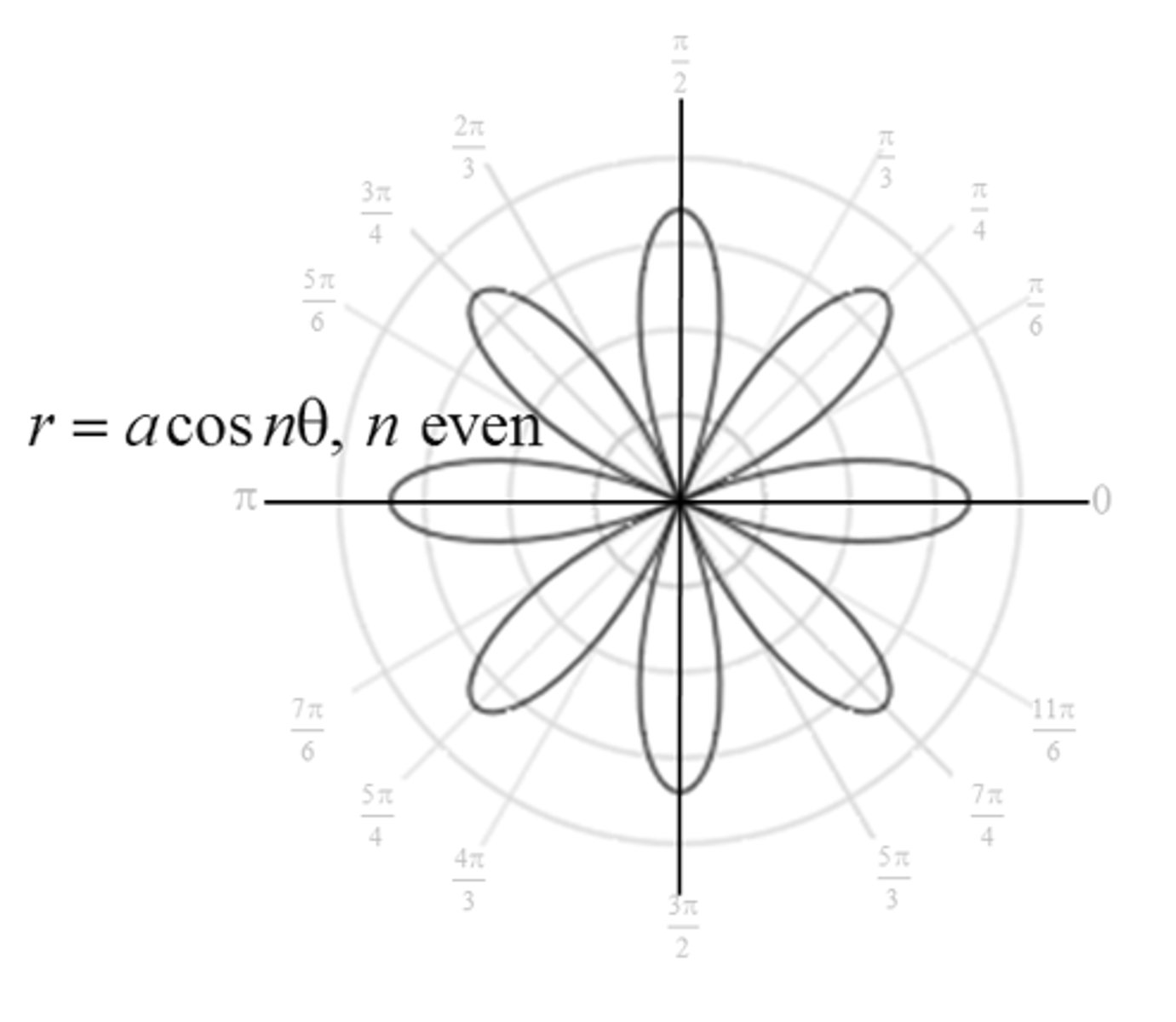 <p>Rose, 2n petals,</p>