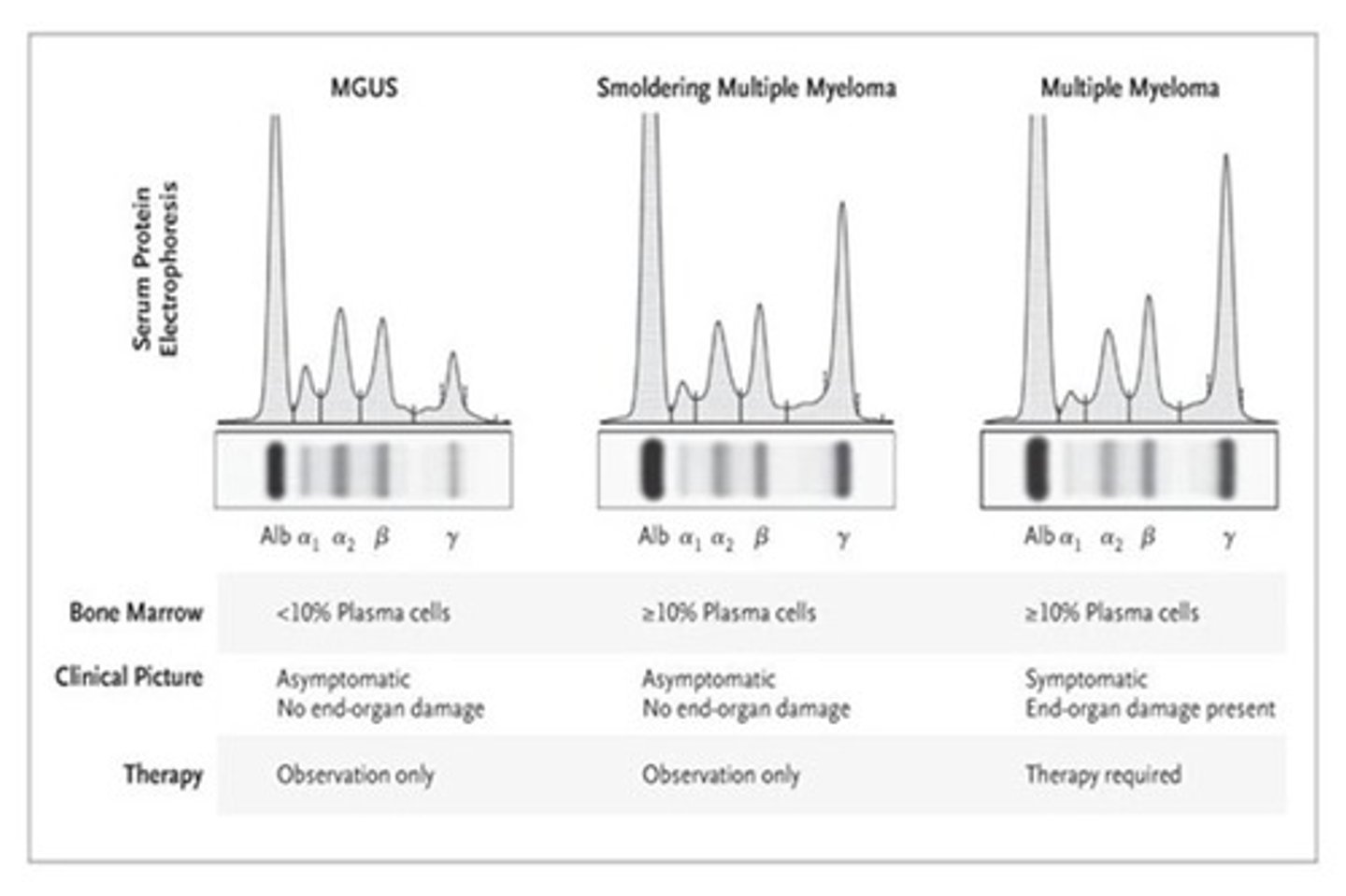 <p>MGUS and MM both have M spike! (according to exam question)</p>