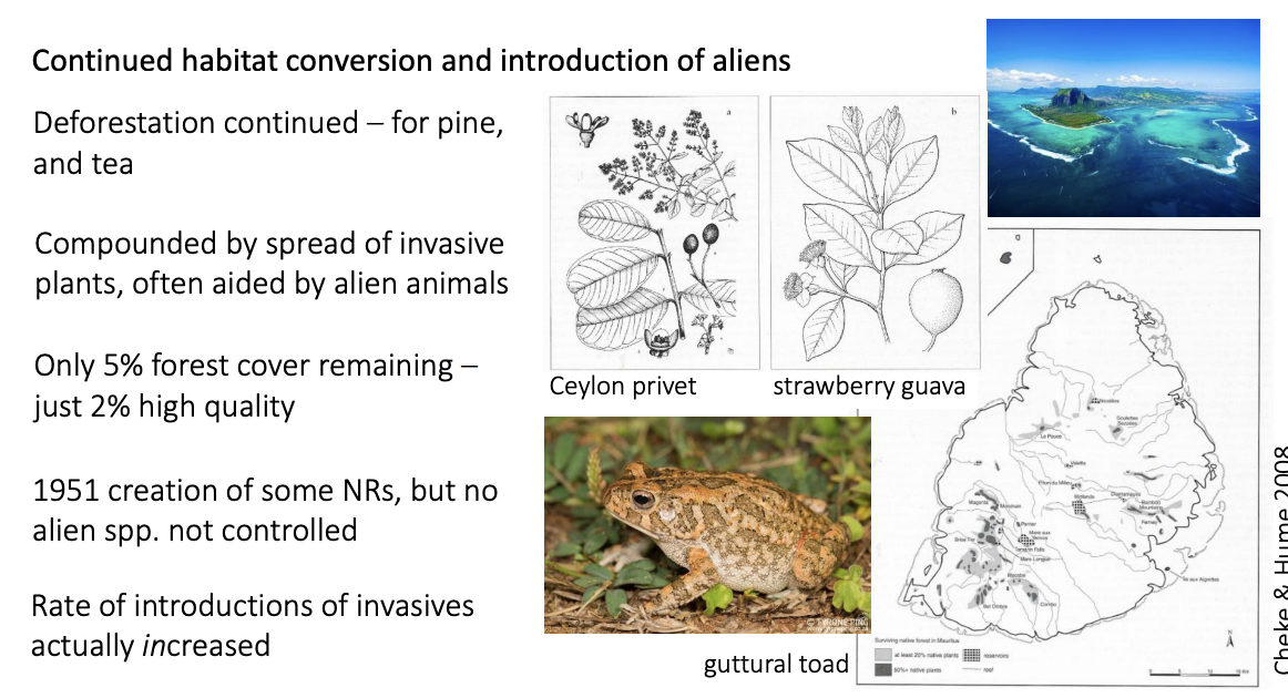 <ol><li><p>Catchment management</p></li><li><p>Viewing some invasives (deer, guava) as assets</p><ul><li><p><strong>Rate of invasive species introductions increased</strong></p></li></ul></li></ol><p></p>