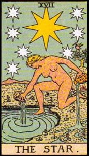 <p>the star</p>