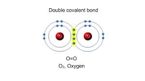 <p>A type of strong chemical bond in which two atoms share one or more pairs of valence electrons.</p>