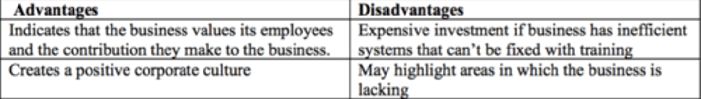 <p>training is essential to employees performing their job task properly, and provides ideal opportunities for employees to feel that they are contributing to business outcomes. thus, this acts as a motivator.</p>