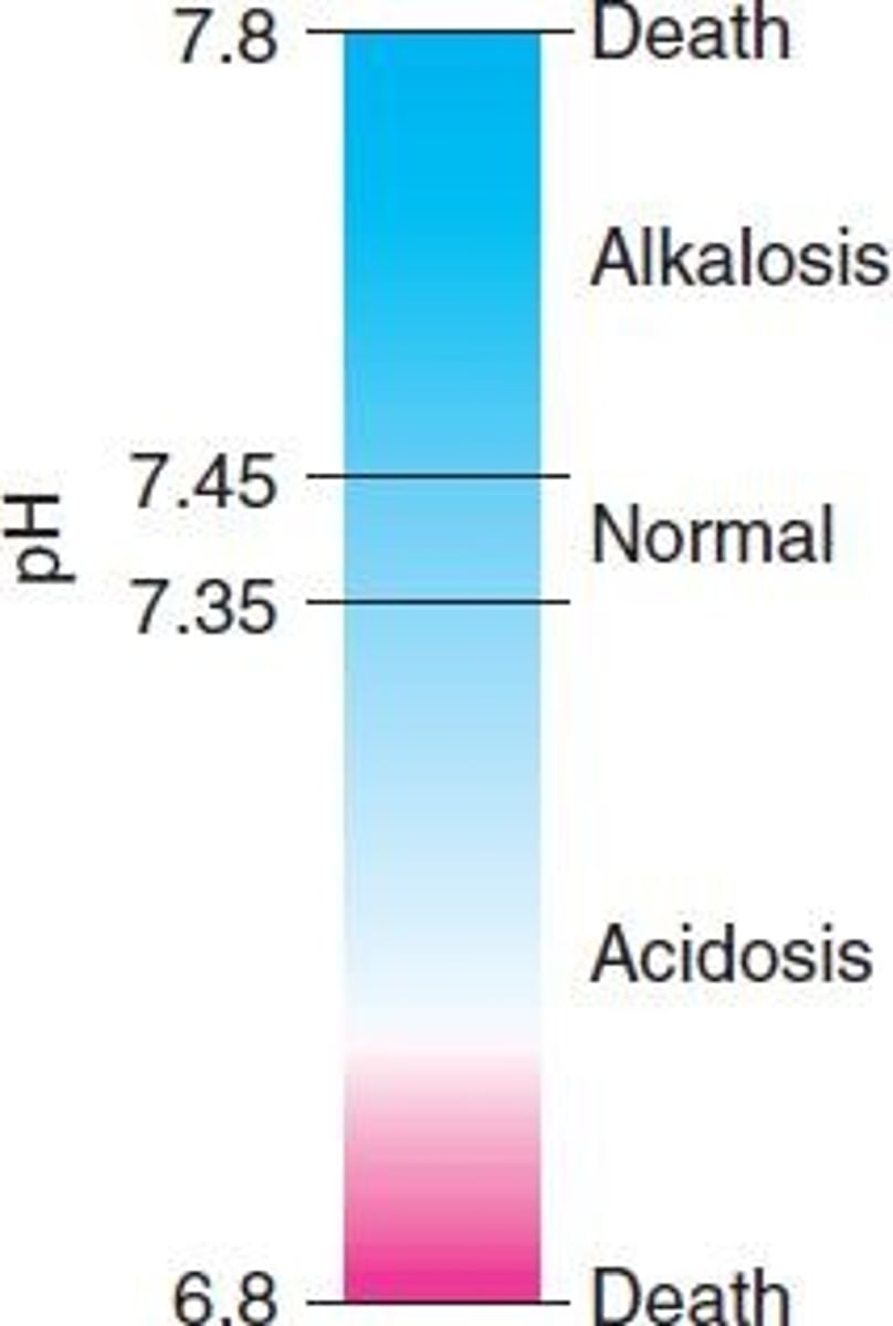 <p>Maintained by buffers, respiration, and kidneys.</p>