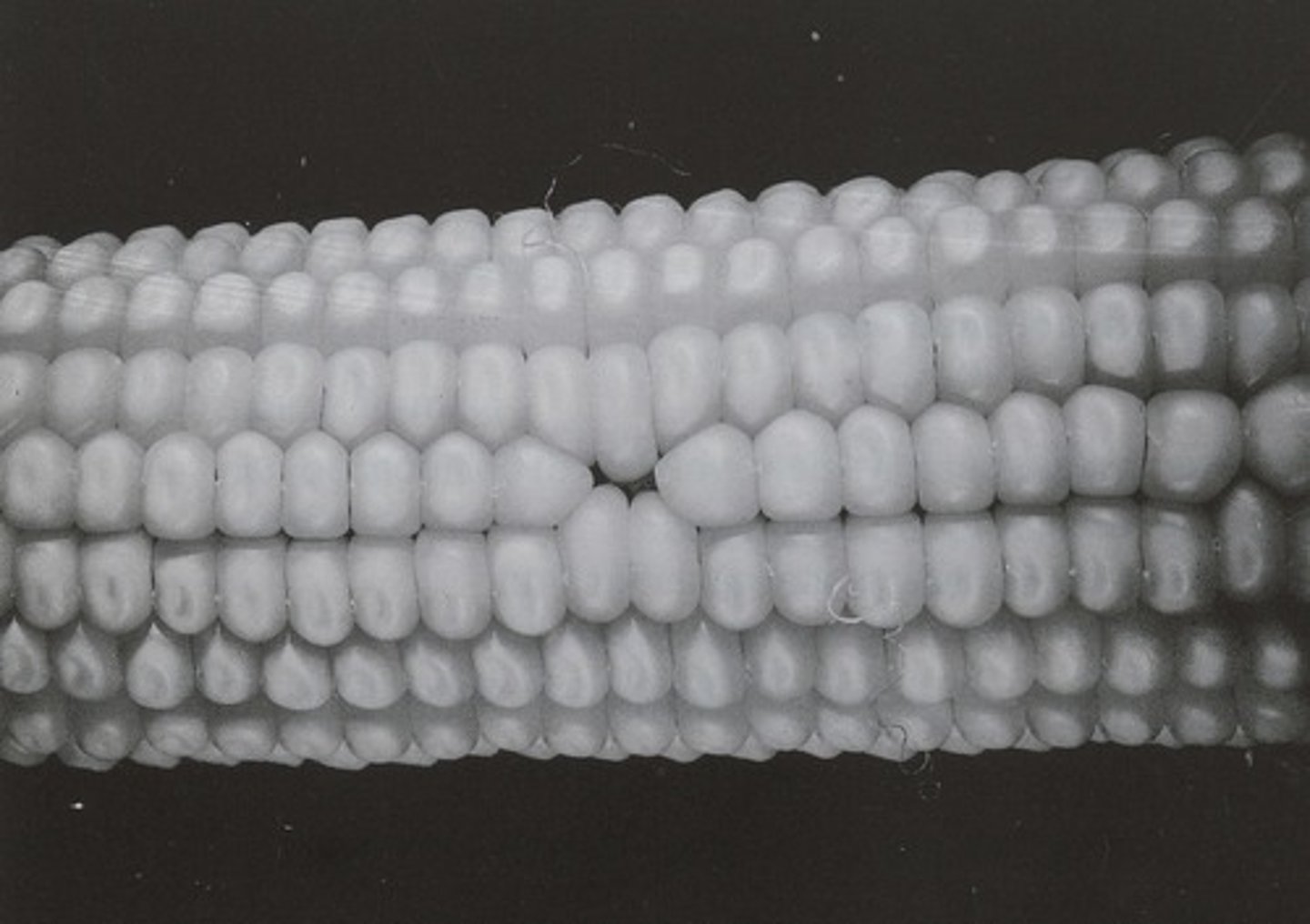 <p>Type of point defect where there is a vacant lattice site</p>