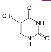 <p>[Identify the Pyrimidine  Base Structure]</p>
