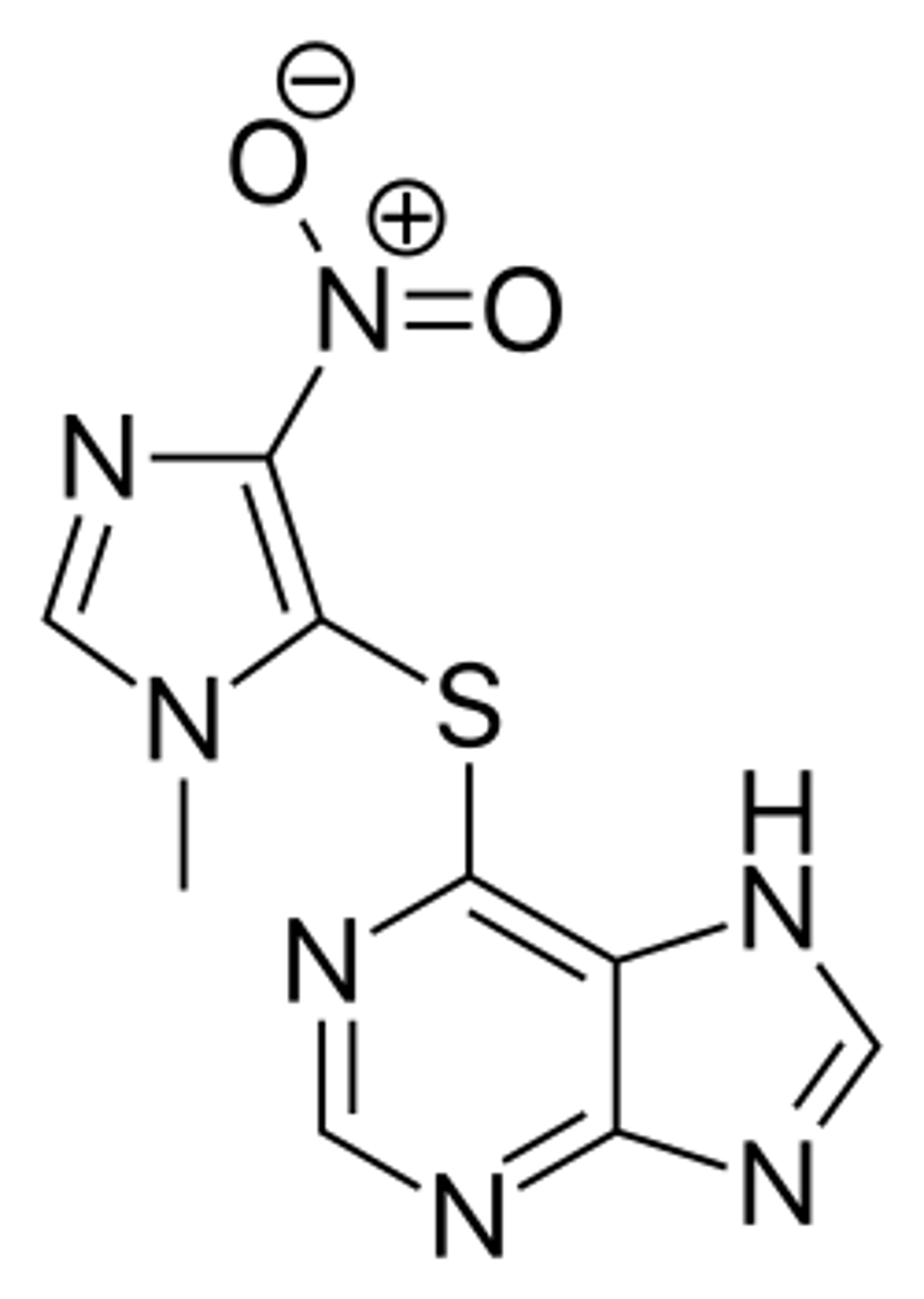 <p>Therapeutic outcome in a LOW TPMT metabolizer treated with typical doses of azathioprine?</p><p>A. TPMT only effects pyrimidine drugs</p><p>B. therapeutically ineffective blood levels</p><p>C. high blood levels with probable toxicity</p><p>D. no effect</p>
