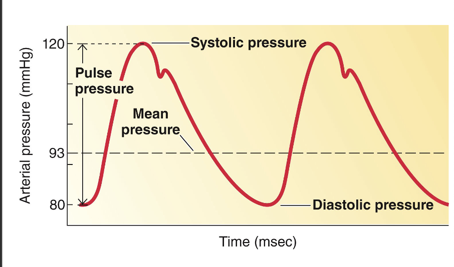 <p>this a graph of what?</p>