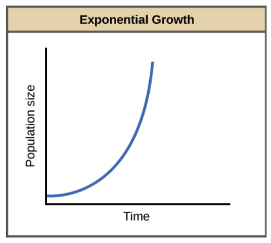 <p>J- Shaped curve of population growth</p>