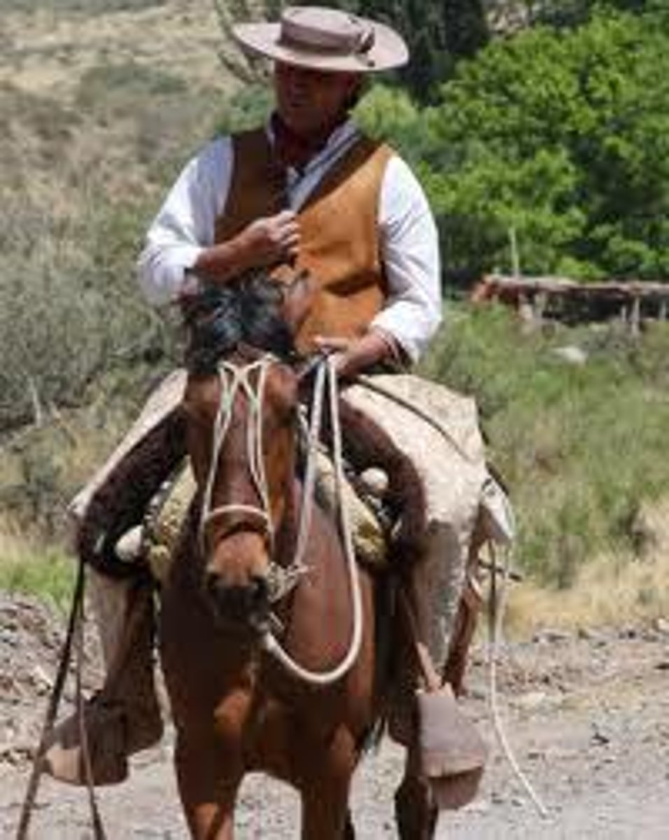 <p>Un hombre que trabaja en la hacienda ganadera. Son importantes porque el asado es la comida más importante en Argentina y es muy importante en la economía de Argentina.</p>