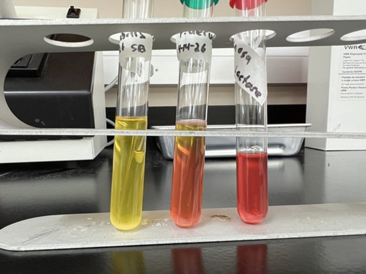 <p>Tests for organism's ability to ferment sugars (i.e., Glucose or Lactose).</p><p>Fermentative sp. (+) - Yellow broth</p>