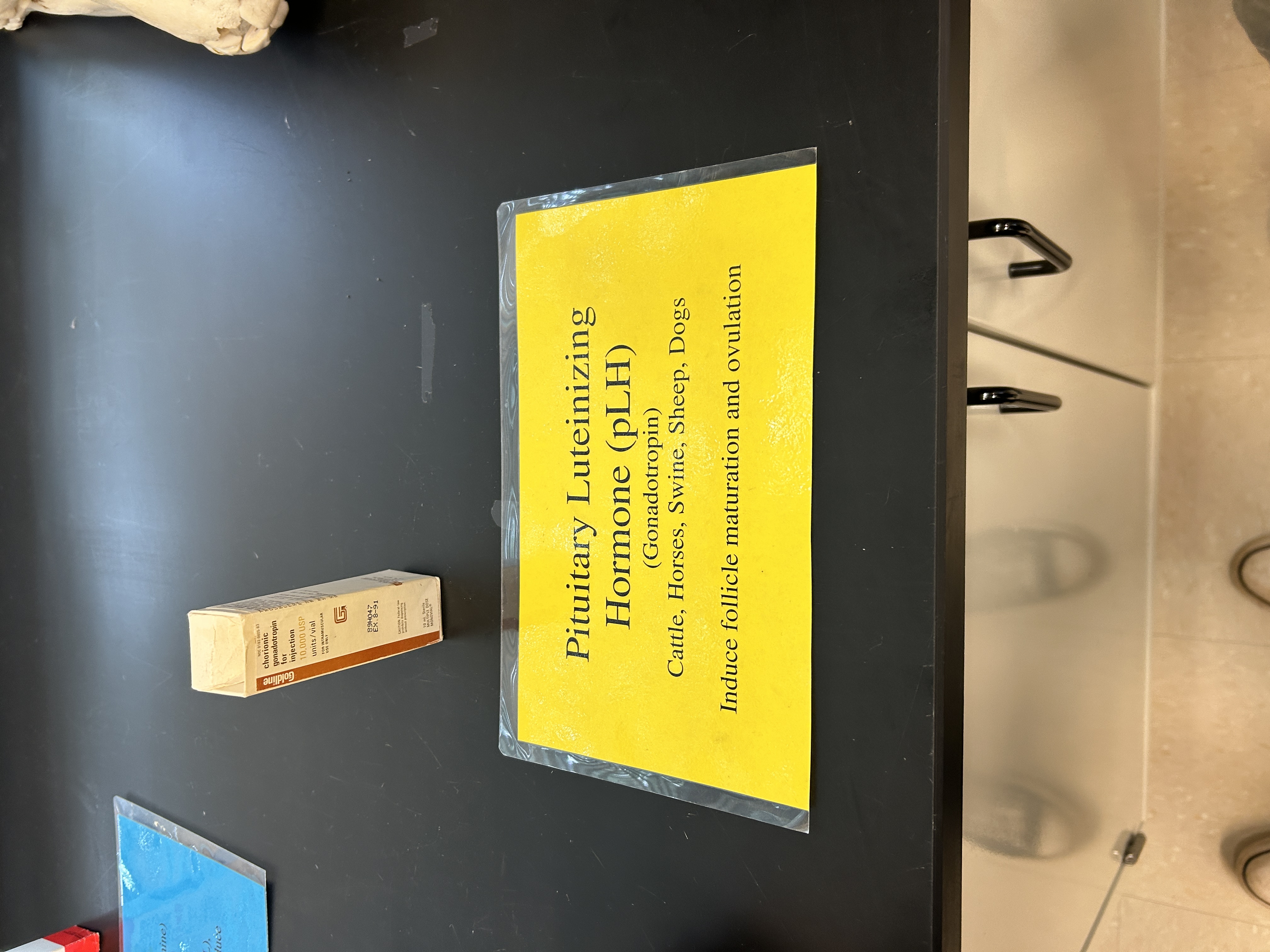 <p>Induce follicle maturation and ovulation; Cattle, Horses, Sheep, Dogs, etc</p>
