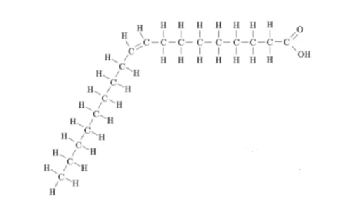 <ul><li><p>contain one double bond</p></li><li><p>kink in the chain</p></li></ul><p></p>
