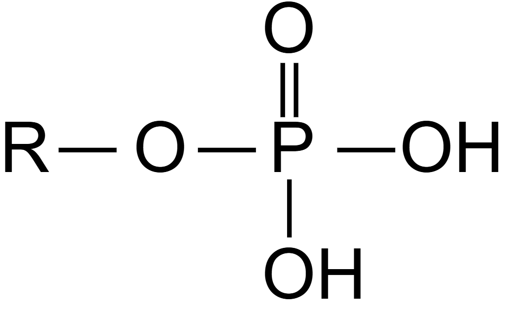 <p>Functional group with the chemical formula -PO4. Referred to as organic phosphates and are polar.</p>