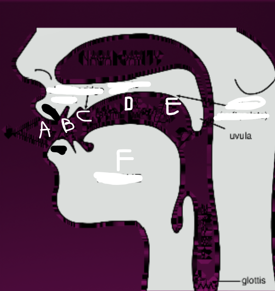 <p>What is E?</p>