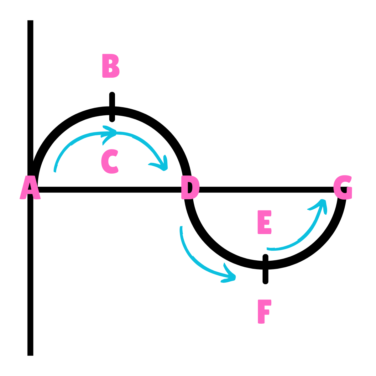 <p>On this drawing, what does B or F represent regarding movement?</p>