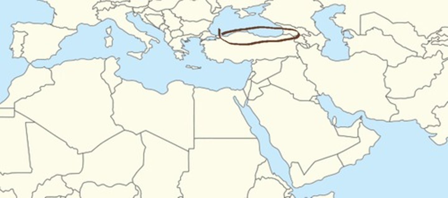 knowt flashcard image