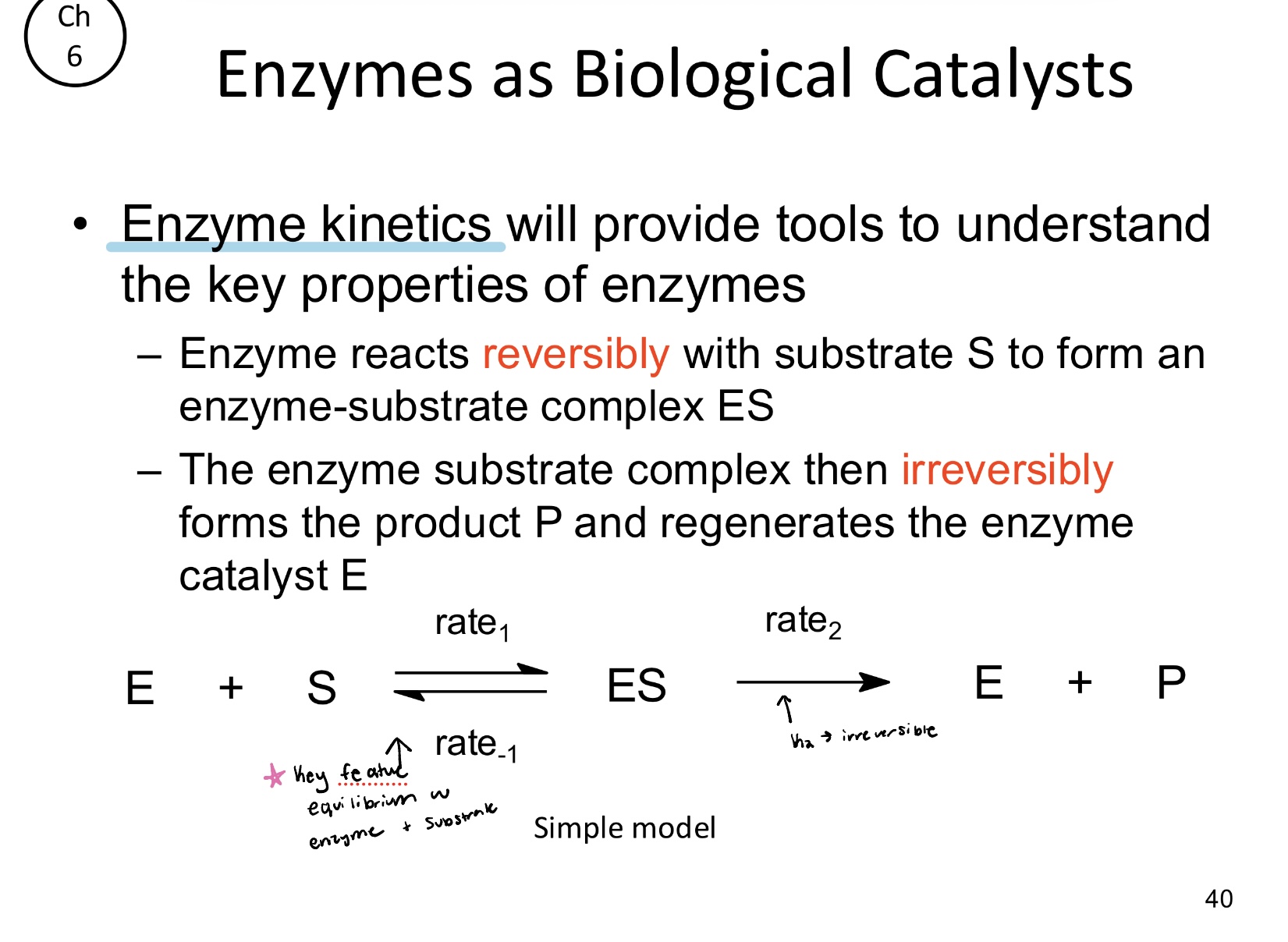 <p>Regenerate the enzyme catalyst E</p>