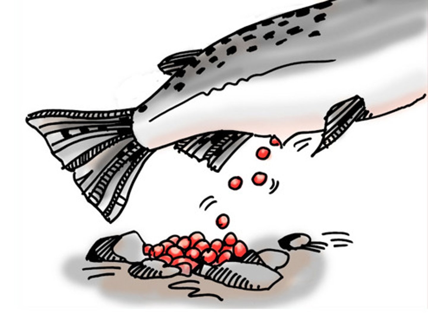 <p>to give rise to; cause something new to grow or start suddenly (tạo ra, làm nảy sinh)</p><p>ex: The new economic freedom has ... hundreds of new small businesses.</p>