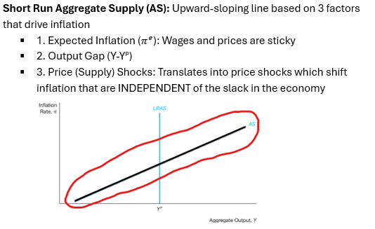 <p>Aggregate Supply; Expected inflation, output gap, supply shocks</p>
