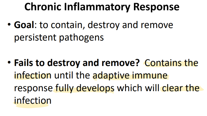 <p>CONTAIN the infection UNTIL the adaptive imm res FULLY develops </p>