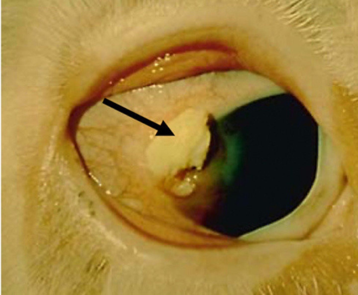 <p>What is happening here?</p>