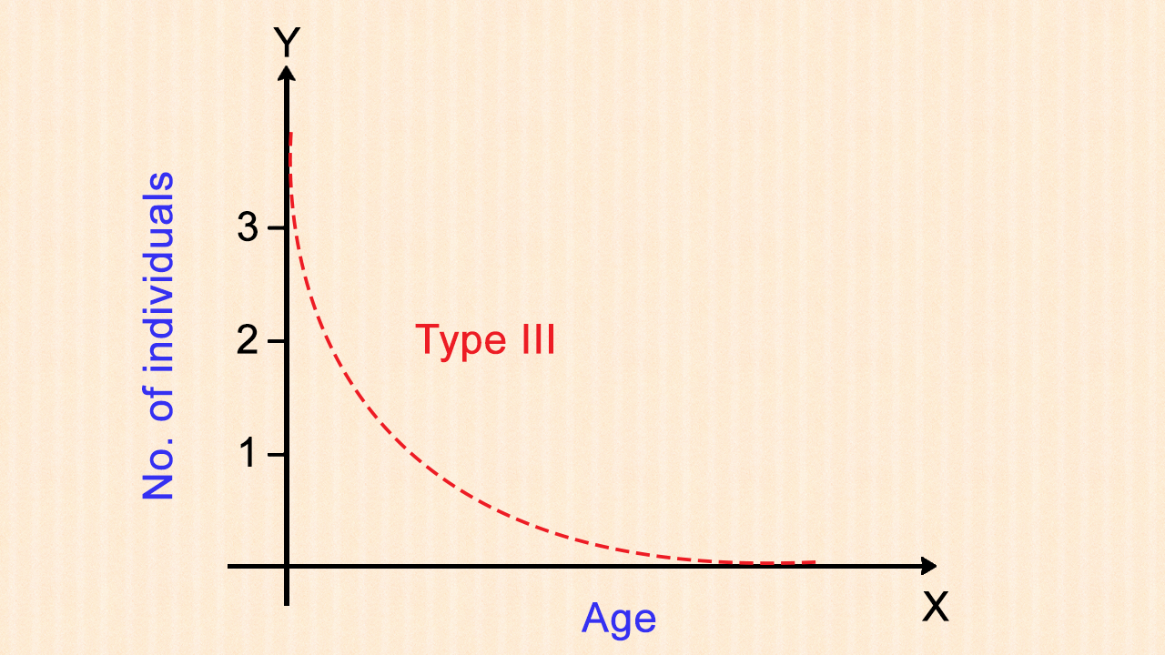 <p>type III survivorship curve</p>