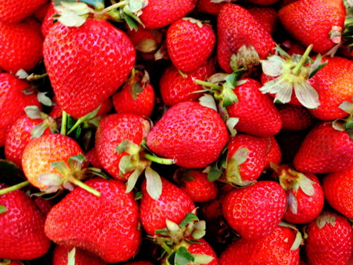 <p>strawberries</p>