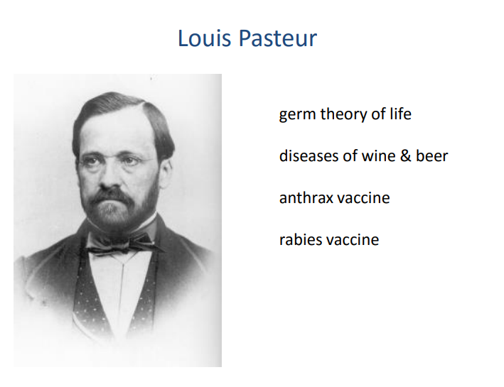 <p>germ theory - were alive and can cause disease but not all of them </p>