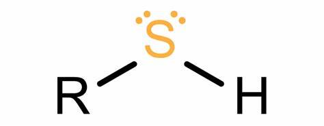 <p>when 2 groups meet form bond w disulfide bridge</p>