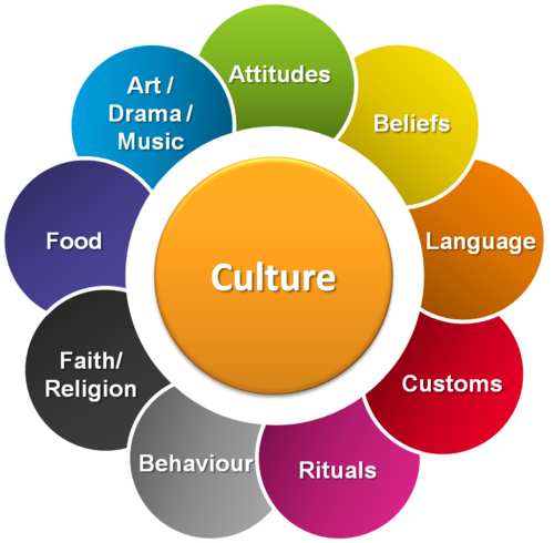 <p>Visible and invisible attributes that combine to make up a group&apos;s culture.</p><p>Artifacts, Sociofacts, Mentifacts</p>