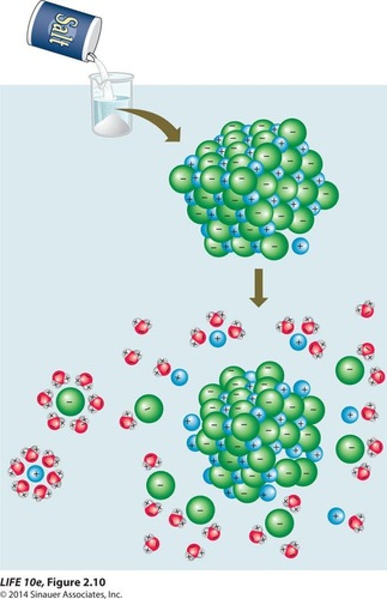 <p>Solution where water is the solvent.</p>