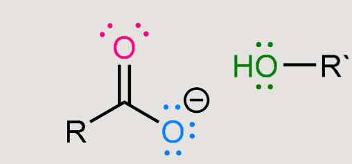 <p>Saponification</p>