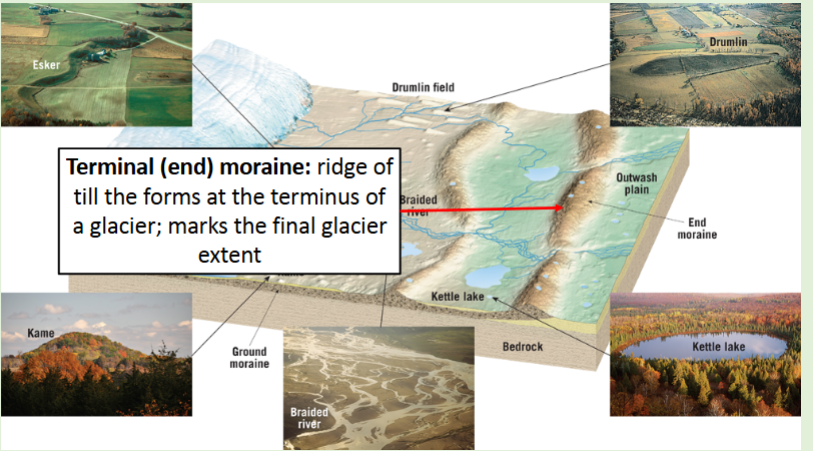 <p>Cape Cod is a giant terminal moraine from the last Ice Age</p>