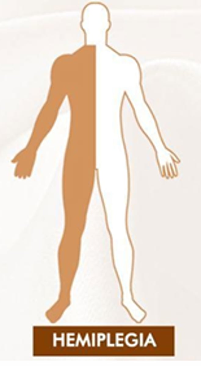 <p>Hemispheric weakness or paralysis</p><p>Disease/tumor/injury of the brain</p>