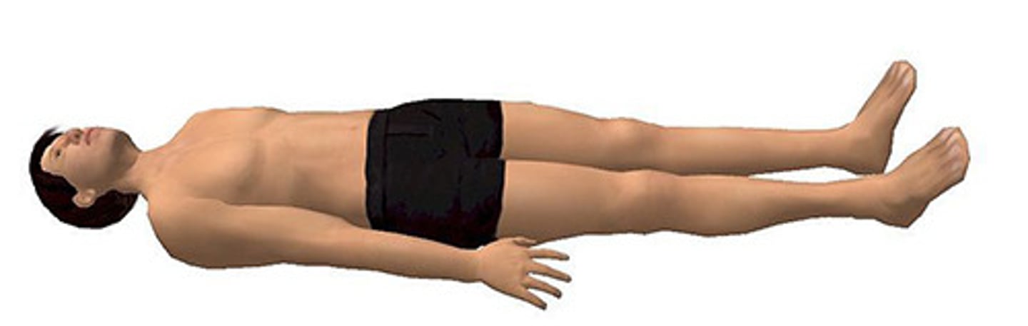 <p>Identify the body position.</p>