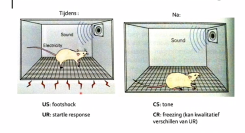 <p>rat op gaas, geluid > voorspelt stroom komt te lopen over gaas</p><p></p><p>voor</p><p>US : footschock </p><p>UR : startle response</p><p></p><p>na </p><p>CS : toon </p><p>CR : freezing (kan kwalitatief verschillen van ur)</p><p></p><p>bijzonder : werkt heel snel, gebeurd al na 10 trails</p><p>heel sterk mechanisme </p>