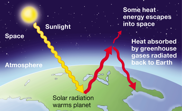 <p>Warming of Earth due to the atmospheric accumulation of CO2 &amp; other gases, absorbing infrared radiation &amp; reradiating some it back towards Earth</p>