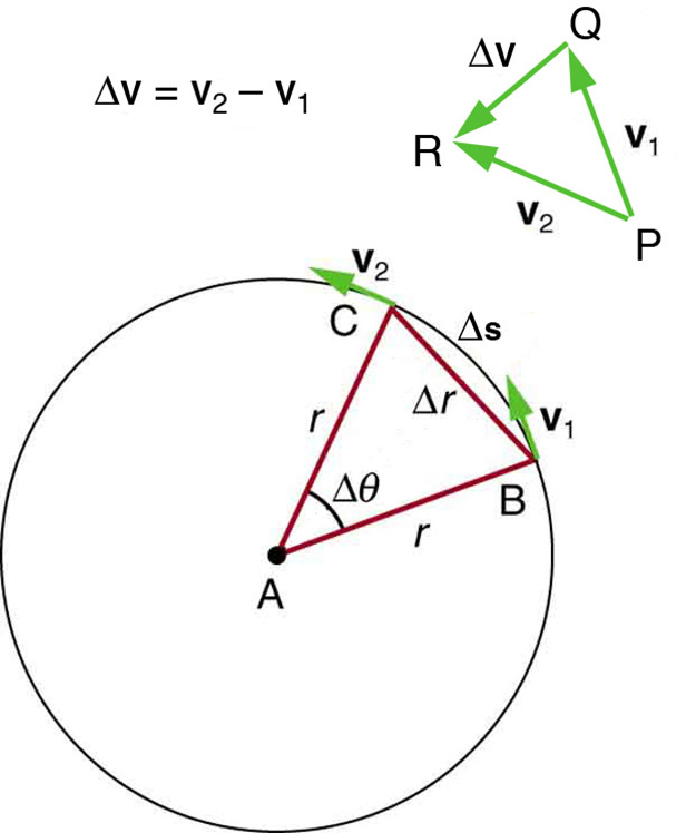 <p>The relationship between <em>centripetal acceleration</em> and the <em>radius</em></p>