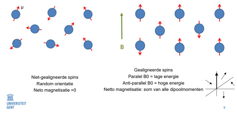 <ul><li><p>parallel B<sub>0</sub> = lage energie</p></li><li><p>anti-parallel B<sub>0</sub> = hoge energie</p></li></ul><p></p>