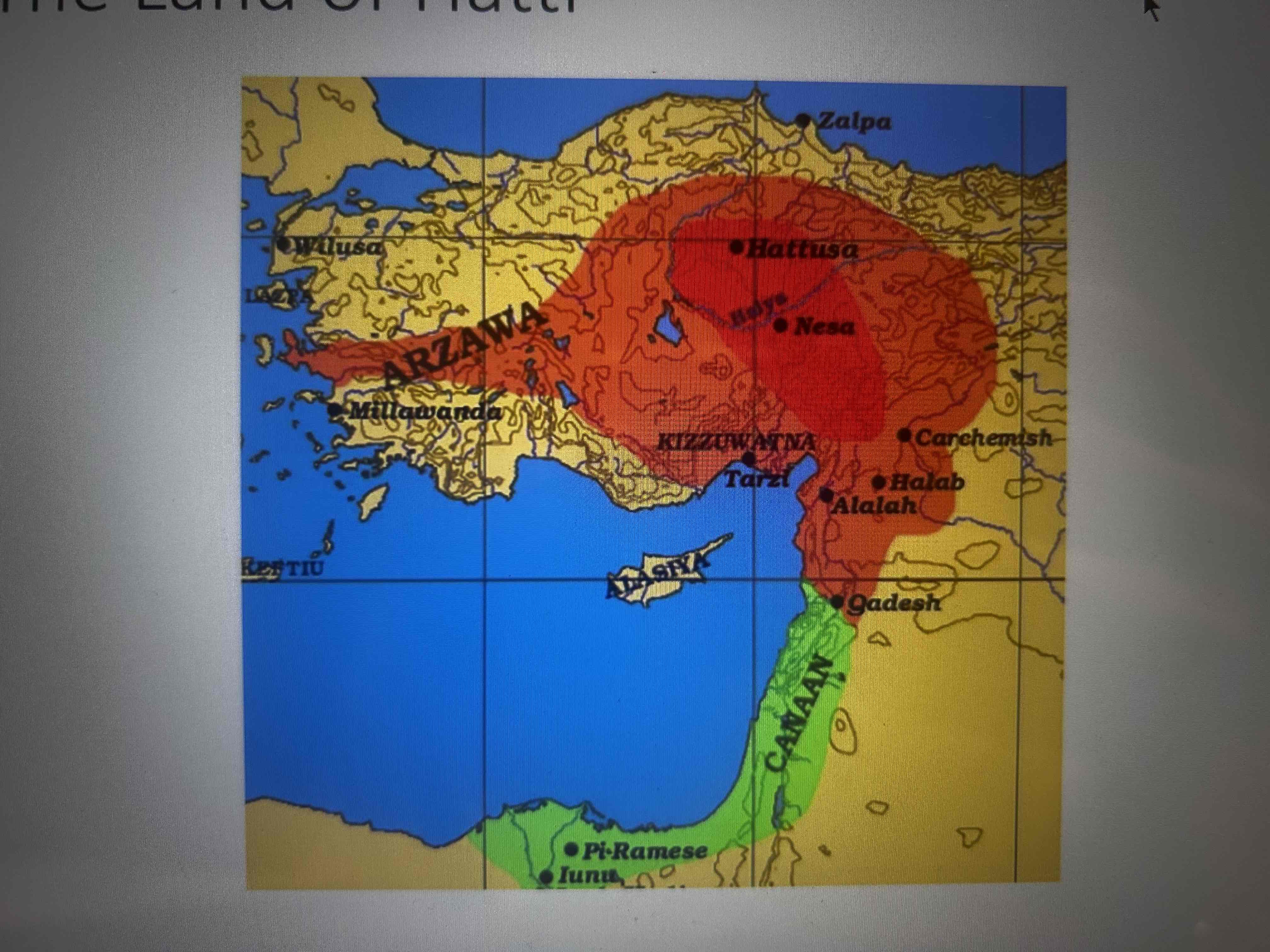 term image